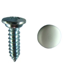 Screw and Cover - AP-S-C-0020
