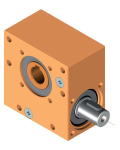 Worm gear 2010