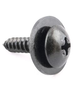 Screw With Torx Head - AP-MS-0300-BLK