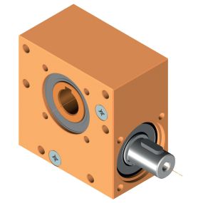 Worm gear 2010