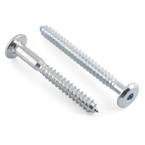 Connector Screws